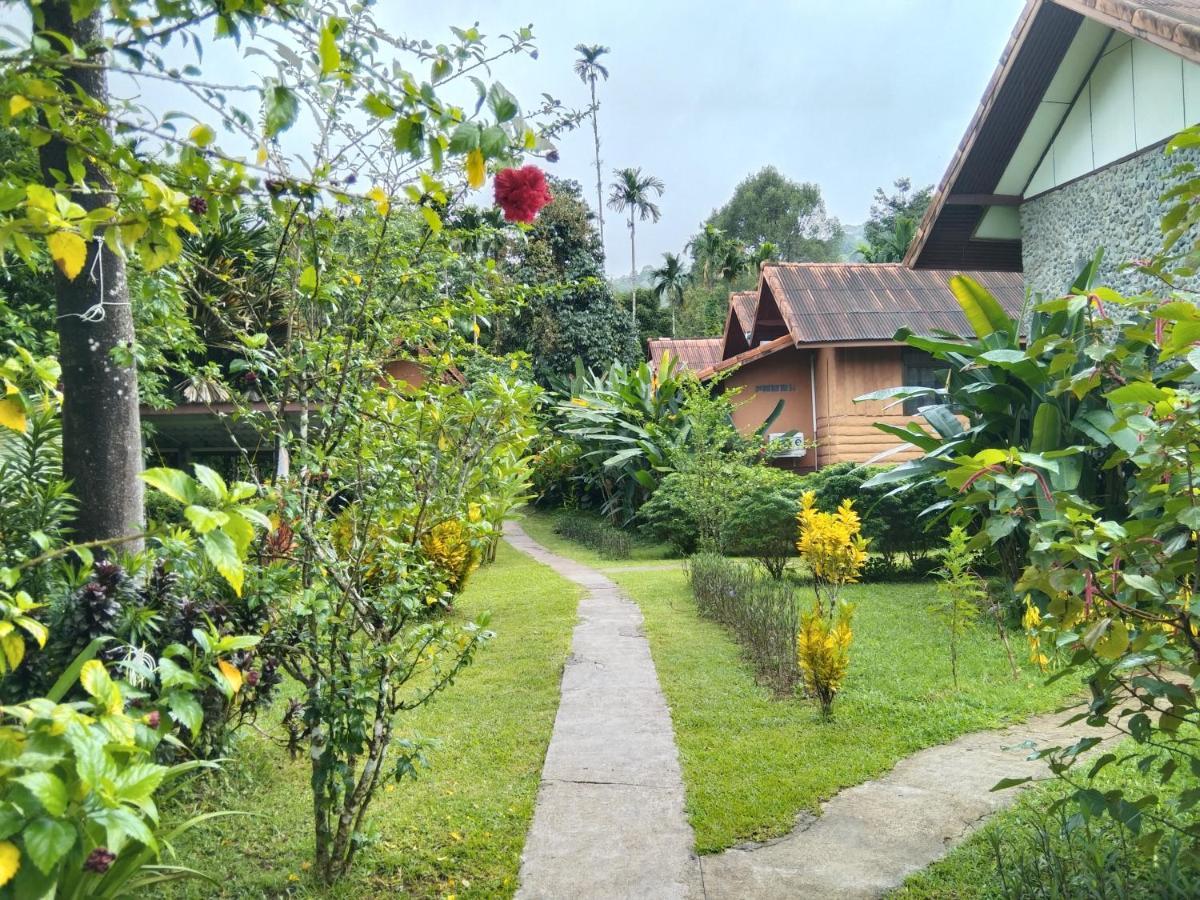 Khao Sok River & Jungle Resort Khao Sok National Park Exterior foto